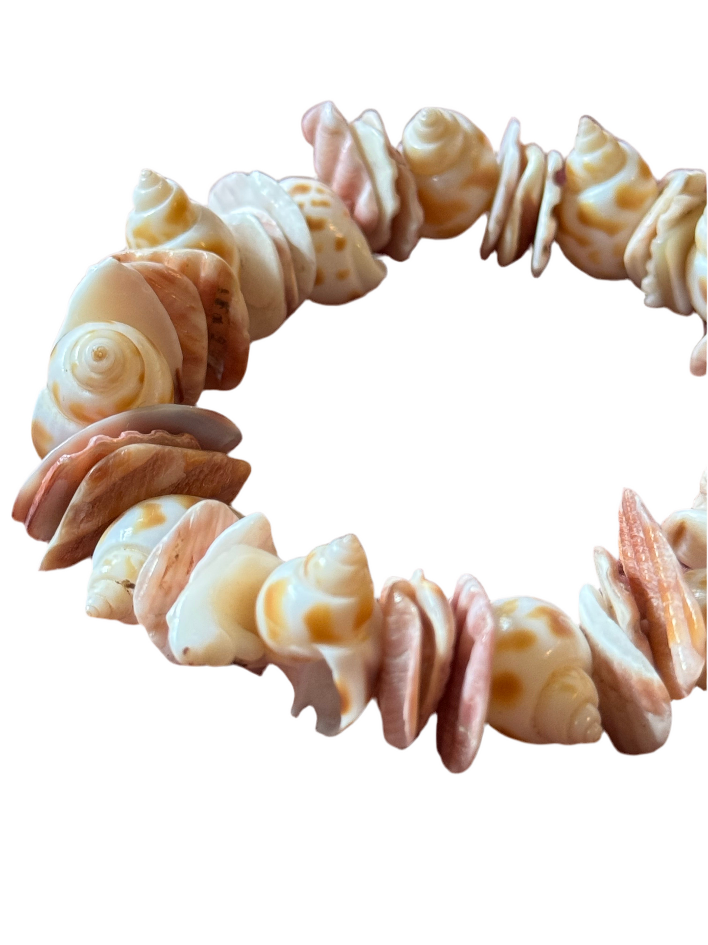 Pacific Shell Bracelet