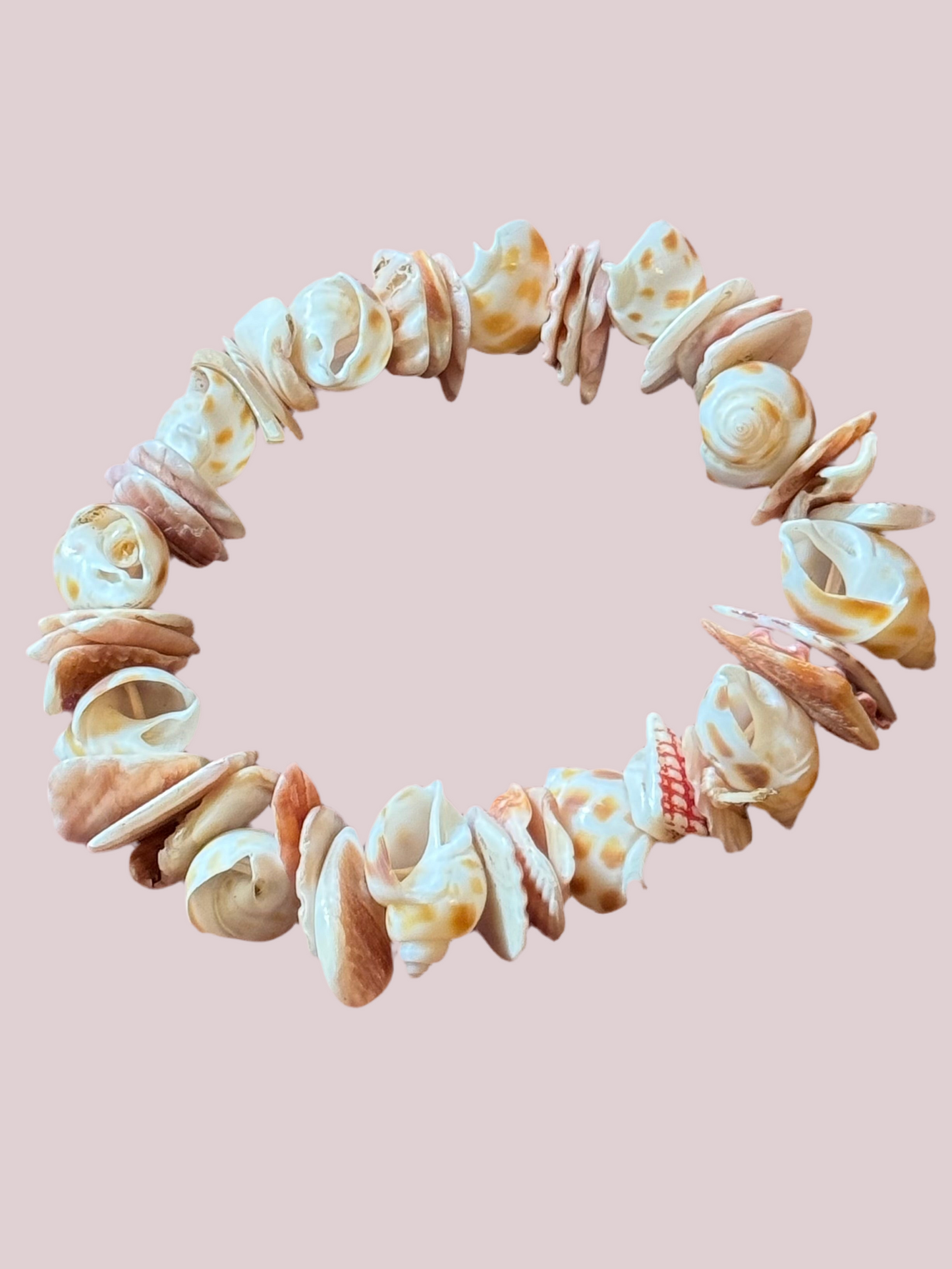 Pacific Shell Bracelet