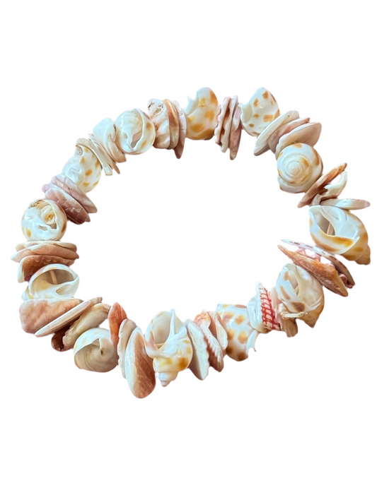 Pacific Shell Bracelet